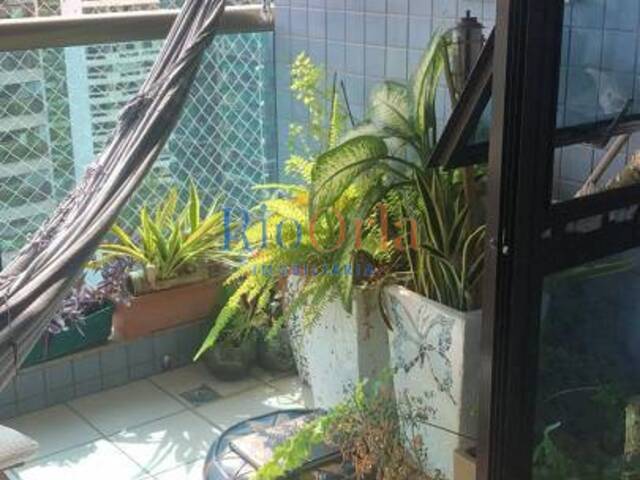 Apartamento para Venda em Rio de Janeiro - 3